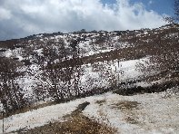 Serra_delle_Concazze - 20100402 107.jpg